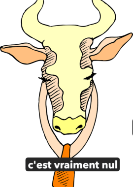 L’arthrose, c’est nul