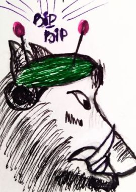 Baie des Cochons (bis)