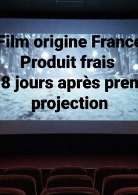 Le cinéma français à l&rsquo;air con